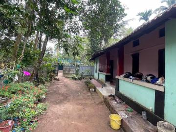 Thrippunithura, Ernakulam District, Kerala State