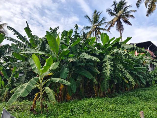 Residential Plot in Thrippunithura for resale Kochi. The reference number is 20477121
