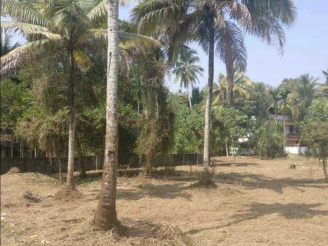 Residential Plot in Thrippunithura for resale Kochi. The reference number is 20743479