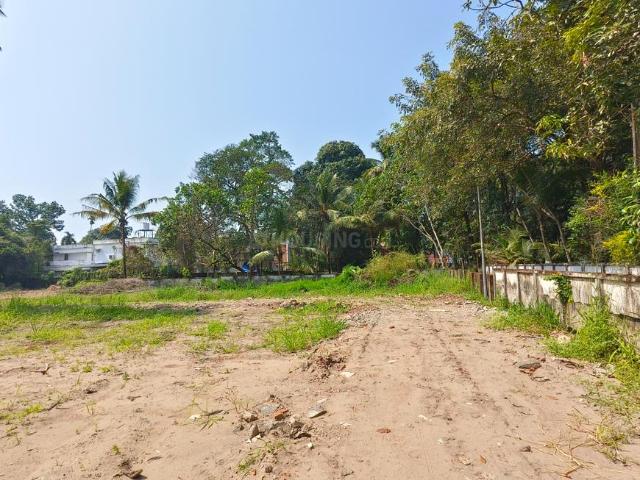 Residential Plot in Thrippunithura for resale Kochi. The reference number is 20009930