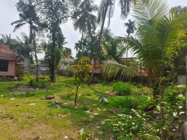 Residential Plot in Thrippunithura for resale Kochi. The reference number is 20025354