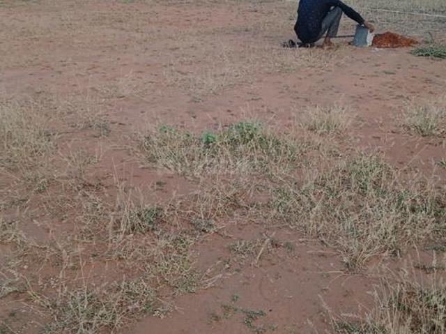 Residential Plot in Thyagaraja Nagar for resale Tirunelveli. The reference number is 20512854
