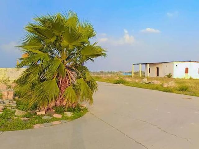 Residential Plot in Tigaria Badshah for resale Indore. The reference number is 17515629