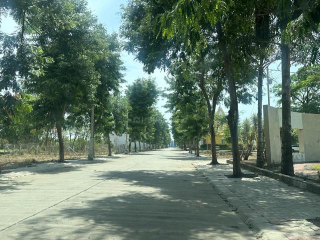 Residential Plot in Tigaria Badshah for resale Indore. The reference number is 20509403