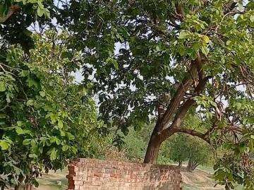 Residential Plot in Tihar Village for resale New Delhi. The reference number is 17851910