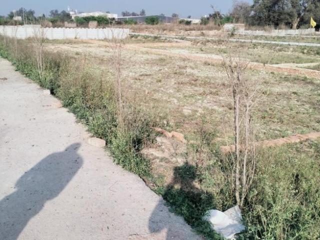Residential Plot in Tilpata Karanwas for resale Greater Noida. The reference number is 19622982