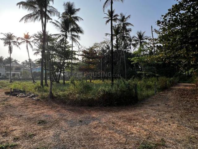 Residential Plot in Tiswadi for resale Goa. The reference number is 19473123