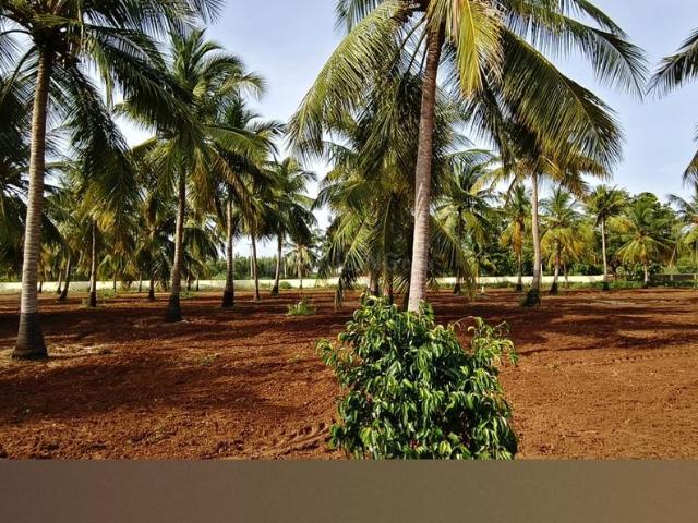 Residential Plot in Tiruchirappalli City for resale Tiruchirappalli. The reference number is 20015674