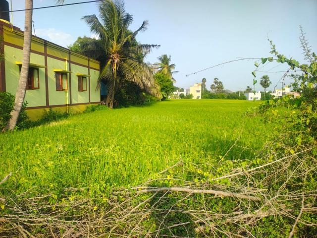 Residential Plot in Tirukalukundram for resale Chennai. The reference number is 21107348