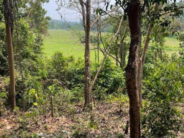 Residential Plot in Tivim for resale Goa. The reference number is 19851116