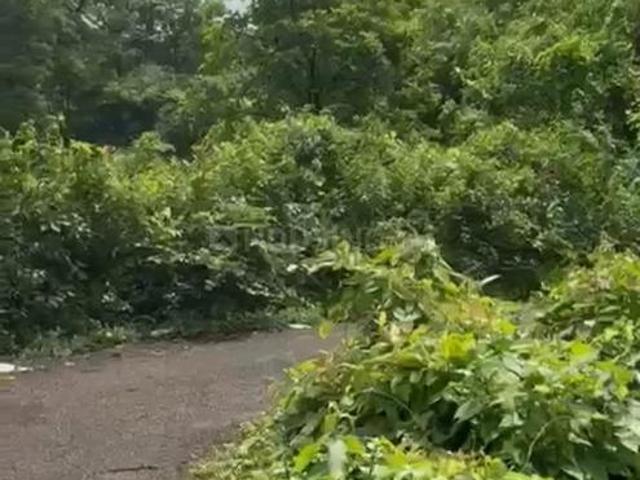 Residential Plot in Tivim for resale Goa. The reference number is 20980395