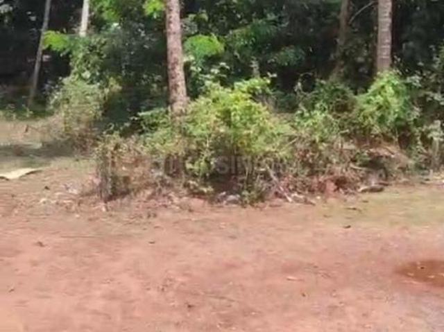 Residential Plot in Tivim for resale Goa. The reference number is 21002781