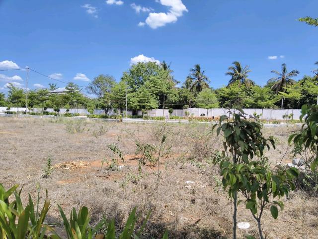 Residential Plot in Tondiarpet for resale Chennai. The reference number is 20085864