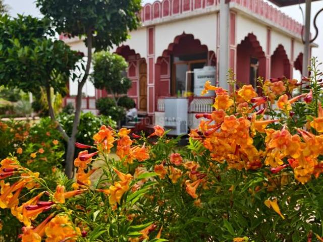 Residential Plot in Tonk Road for resale Jaipur. The reference number is 21349732