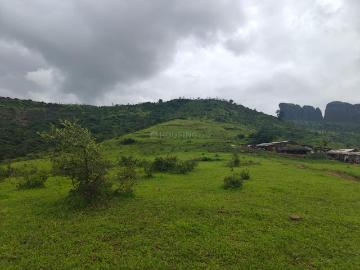 Residential Plot in Trimbak for resale Nashik. The reference number is 19017486