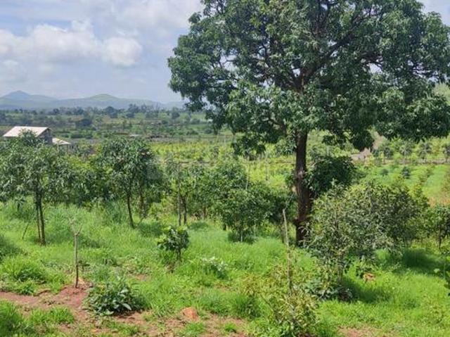 Residential Plot in Trimbak for resale Nashik. The reference number is 4968743