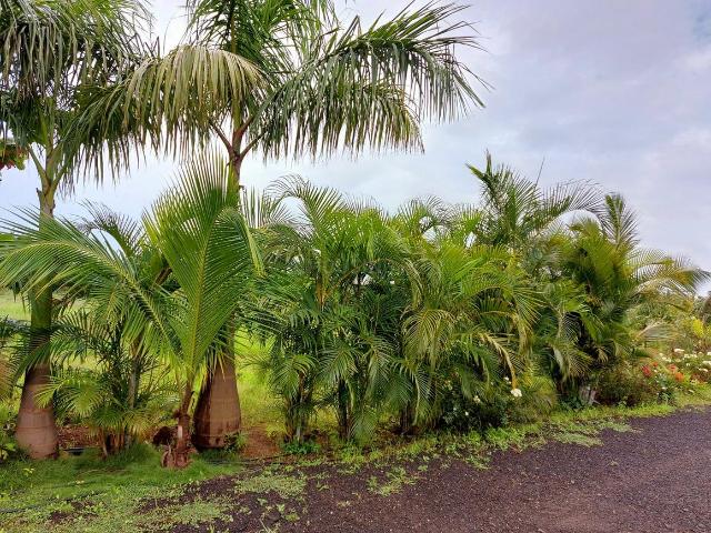 Residential Plot in Trimbak for resale Nashik. The reference number is 5213803