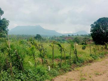 Residential Plot in Trimbak for resale Nashik. The reference number is 8321680