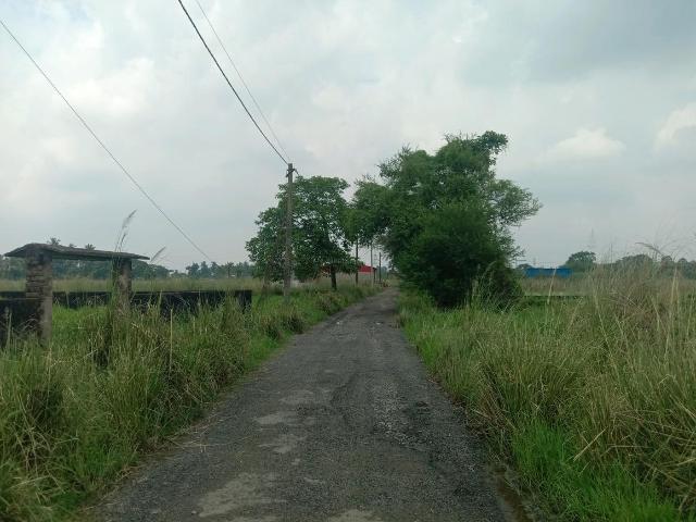 Residential Plot in Uttar Gauripur for resale Kolkata. The reference number is 21048179