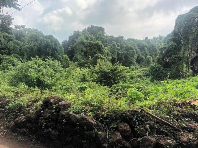 Residential Plot in Ucassaim for resale Goa. The reference number is 21204880