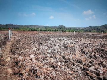Residential Plot in Ulwe for resale Navi Mumbai. The reference number is 16894482