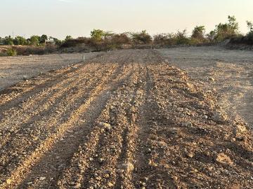 Sector-16 Ulwe, Raigarh District Maharashtra, Maharashtra