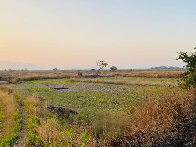 Residential Plot in Ulwe for resale Navi Mumbai. The reference number is 20118388