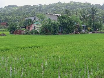 Residential Plot in Ulwe for resale Navi Mumbai. The reference number is 20292206