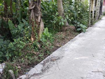 Uluberia Howrah, Howrah District, West Bengal