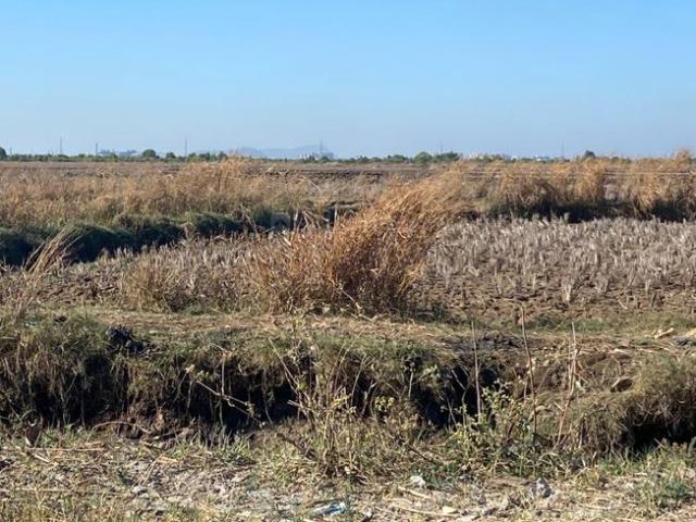 Residential Plot in Uran for resale Navi Mumbai. The reference number is 19563469