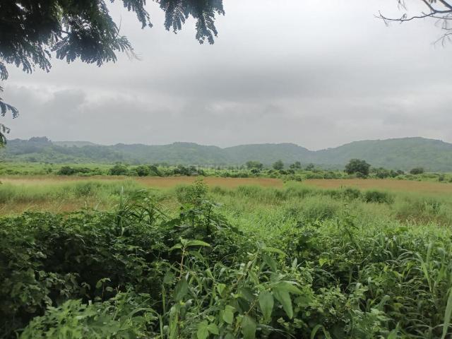 Residential Plot in Uran for resale Navi Mumbai. The reference number is 19978506