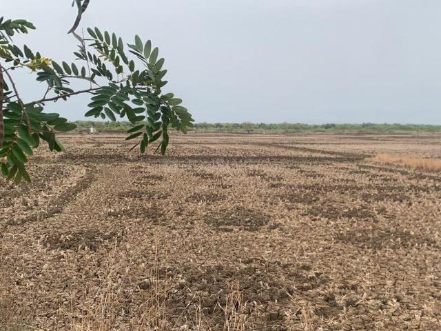 Residential Plot in Uran for resale Navi Mumbai. The reference number is 20568050