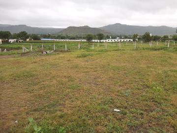 Land for sale in Manter Wadi - Garden
