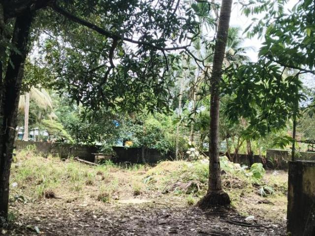 Residential Plot in Vyttila for resale Kochi. The reference number is 18471444