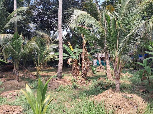 Residential Plot in Vyttila for resale Kochi. The reference number is 19295221