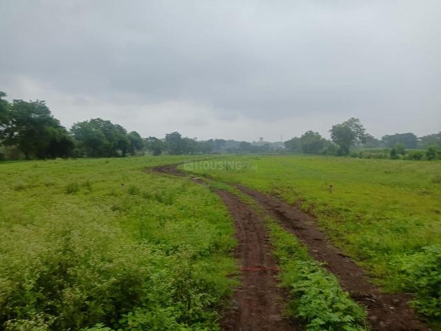 Residential Plot in Vadner Dumala for resale Devlali. The reference number is 18382222