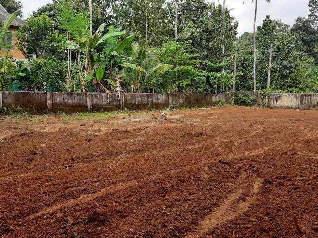 Residential Plot in Vadakkencherry for resale Palakkad. The reference number is 20868374