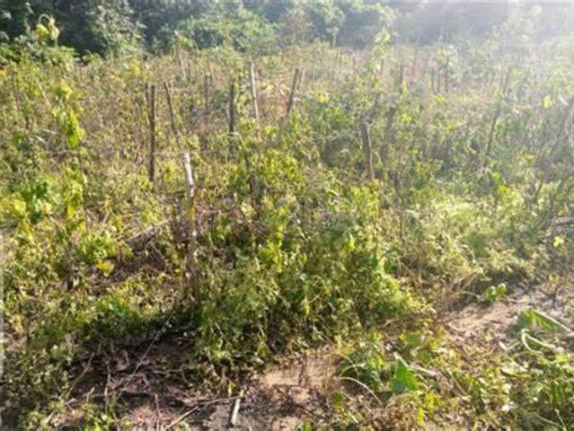Residential Plot in Vaishali for resale Ghaziabad. The reference number is 13491723