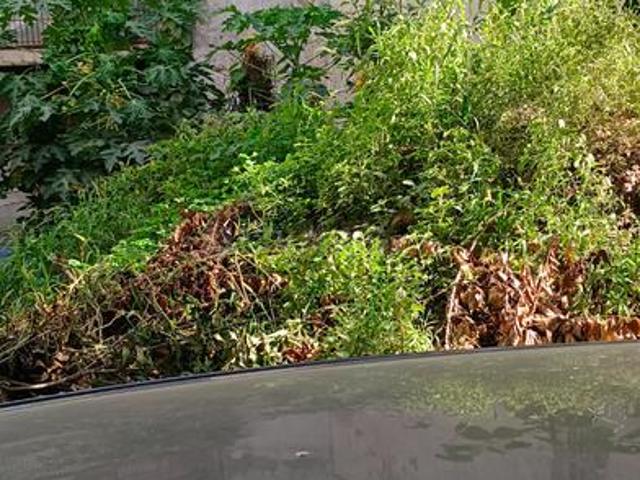 Residential Plot in Vaishali for resale Ghaziabad. The reference number is 20367768