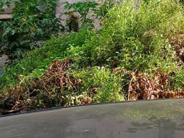 Residential Plot in Vaishali for resale Ghaziabad. The reference number is 20367768