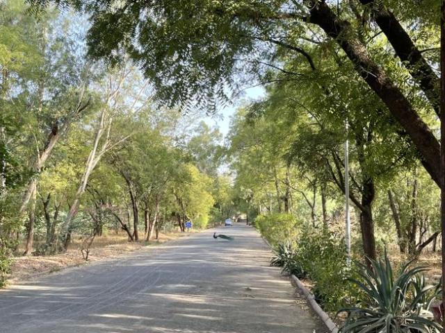 Residential Plot in Vaishno Devi Circle for resale Ahmedabad. The reference number is 20238613