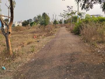 Bangalore, Bangalore District, Tamil Nadu