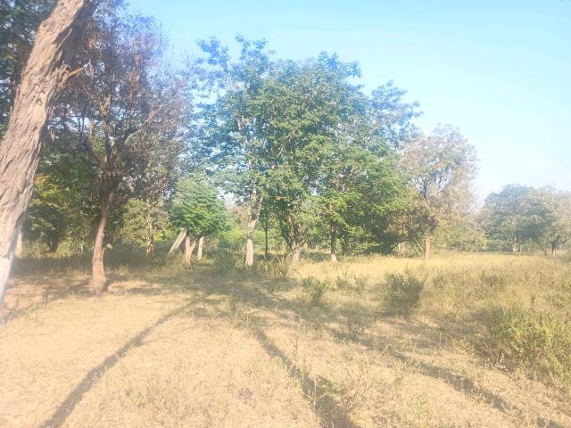 Residential Plot in Vanasthalipuram for resale Hyderabad. The reference number is 18917871