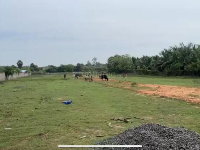 Residential Plot in Vanur for resale Viluppuram. The reference number is 21028440
