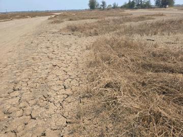 Residential Plot in Vasai West for resale Vasai. The reference number is 20230852