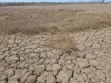 Residential Plot in Vasai West for resale Vasai. The reference number is 20230870