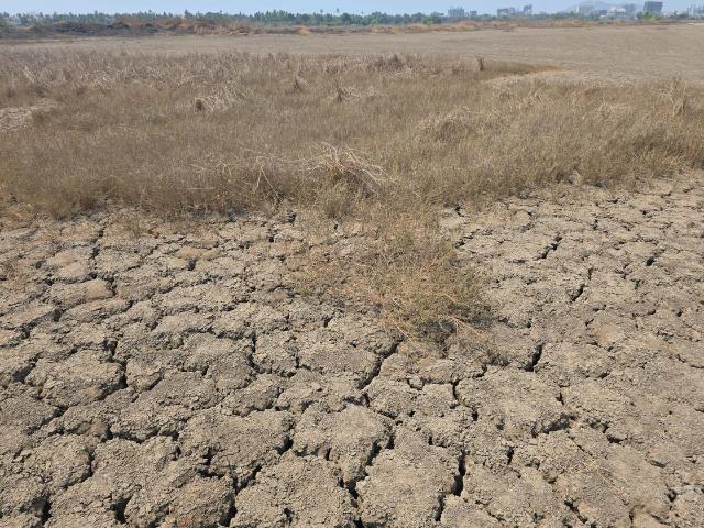 Residential Plot in Vasai West for resale Vasai. The reference number is 20230870