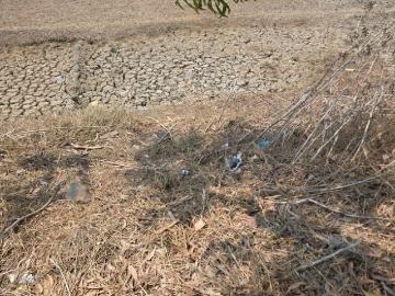 Residential Plot in Vasai West for resale Vasai. The reference number is 20230920