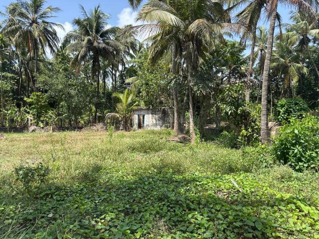 Residential Plot in Vasai West for resale Vasai. The reference number is 20468815