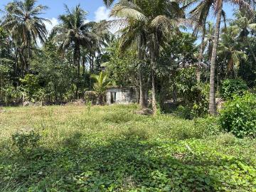 Residential Plot in Vasai West for resale Vasai. The reference number is 20468815